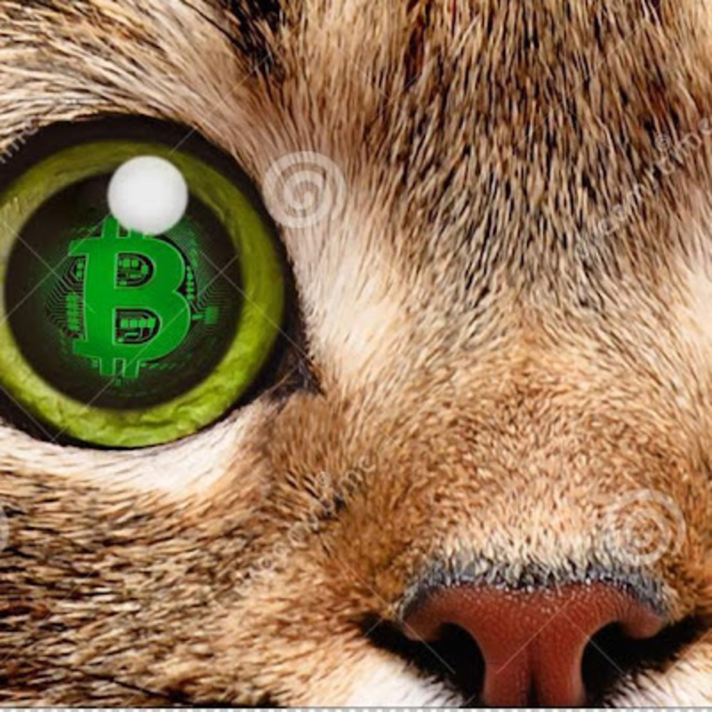 Meet your Posher, Crypto